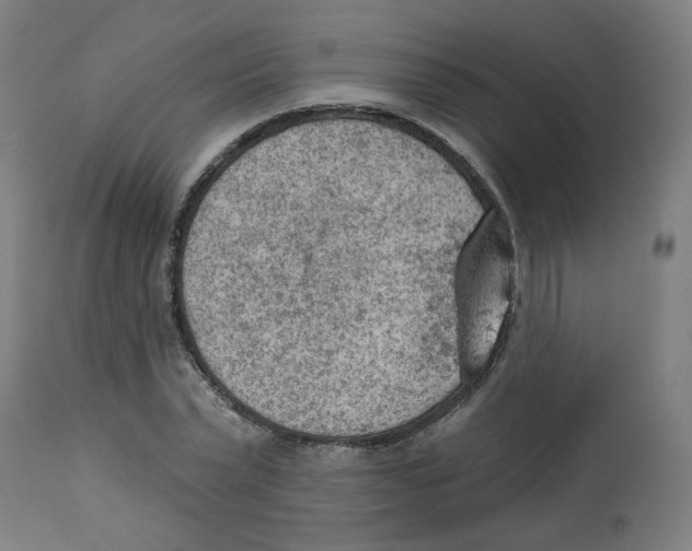 X0000112780783200909171335