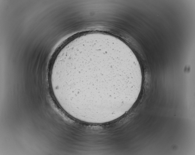 X0000112780784200909171335