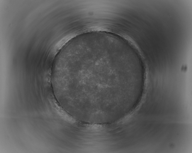 X0000112780785200909171335