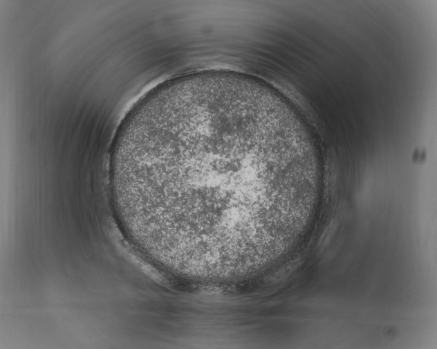 X0000112780790200909171335