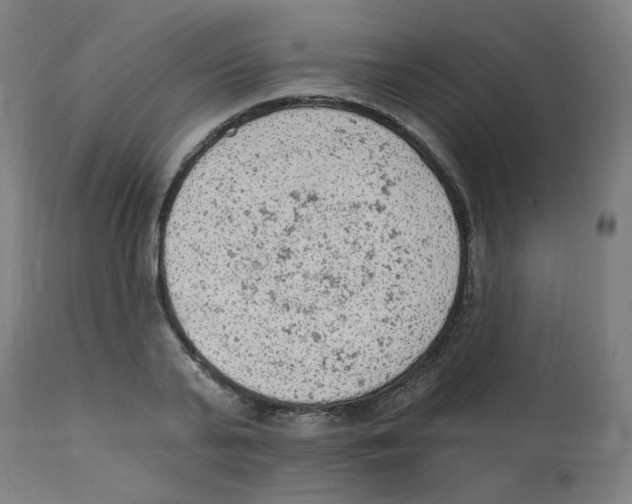 X0000112780791200909171335