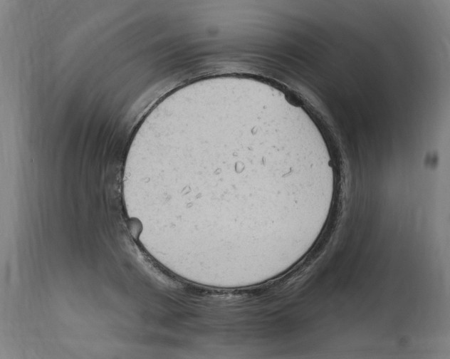 X0000112780793200909171335