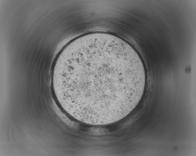 X0000112780795200909171335