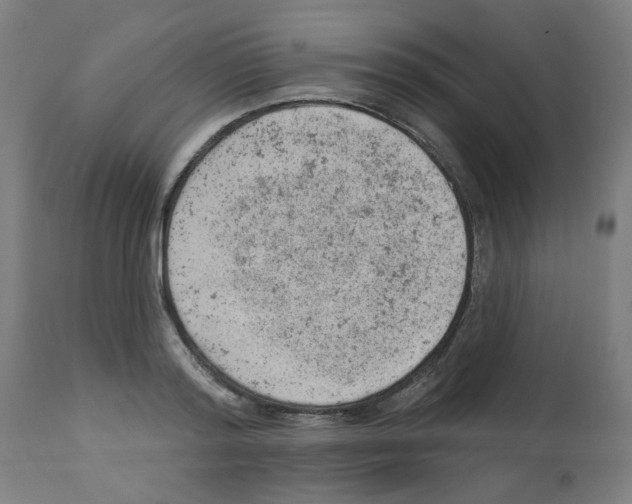 X0000112780796200909171335