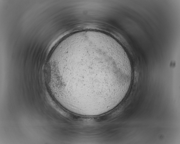 X0000112780798200909171335