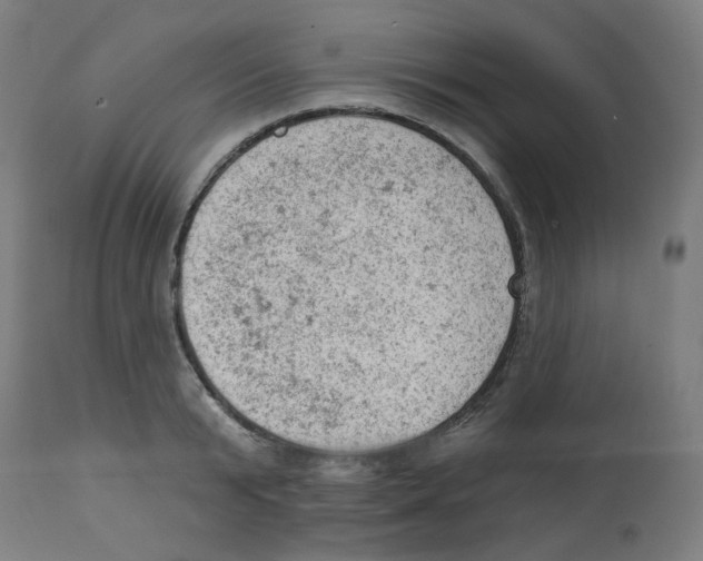 X0000112780799200909171335