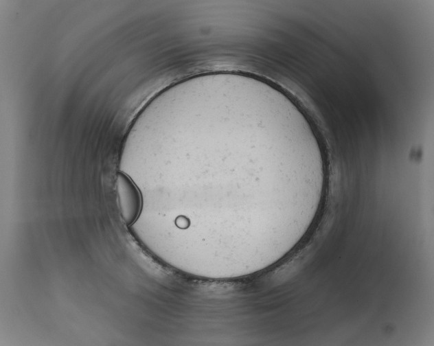 X0000112780801200909171335