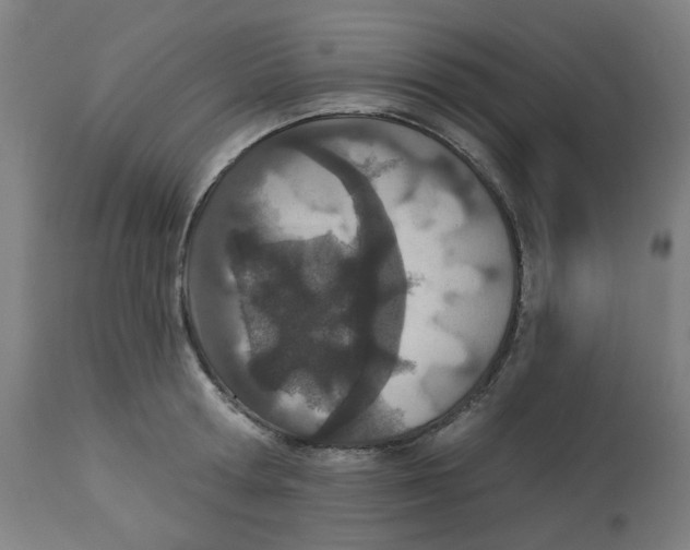 X0000112780802200909171335