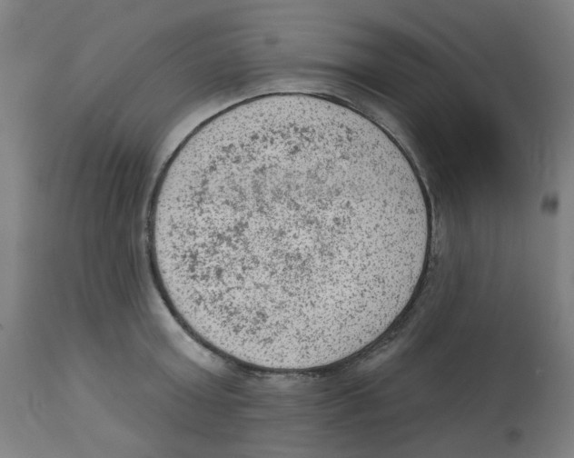 X0000112780803200909171335