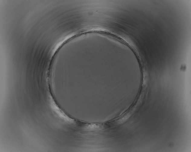 X0000112780806200909171335