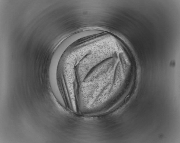 X0000112780809200909171335