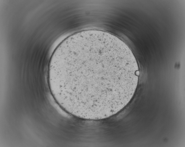 X0000112780812200909171335