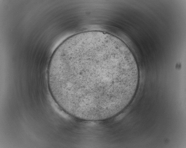 X0000112780814200909171335