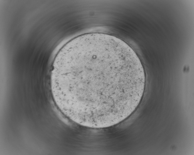 X0000112780816200909171335