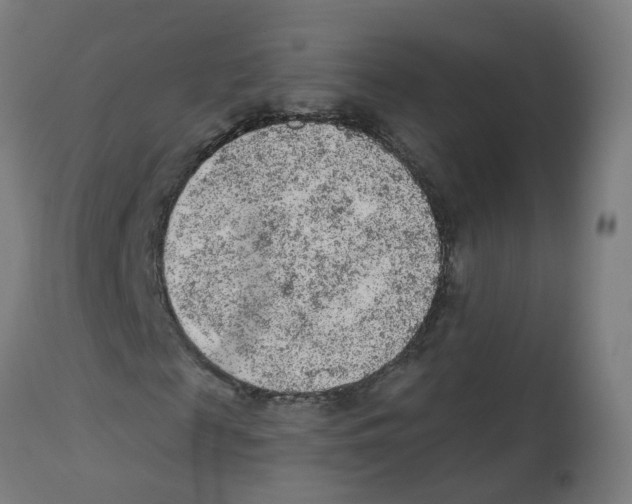 X0000112780817200909171334