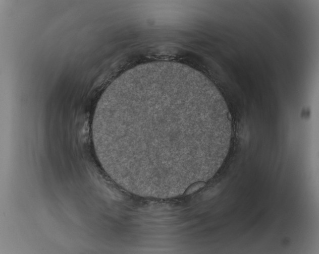 X0000112780818200909171334