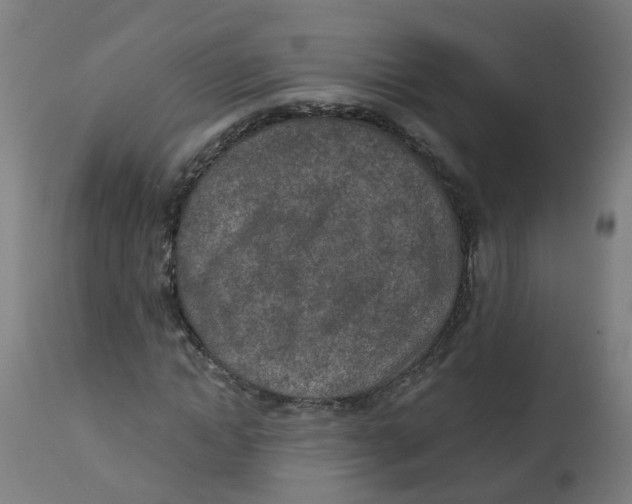 X0000112780822200909171334