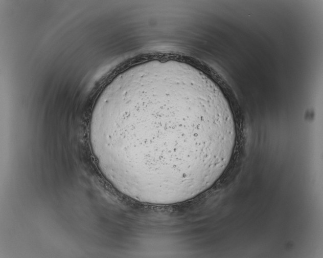 X0000112780823200909171334