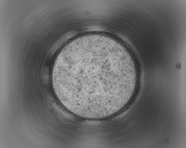 X0000112780825200909171334