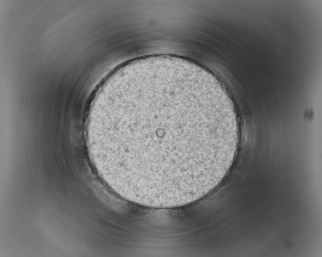 X0000112780828200909171334