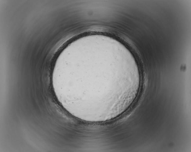 X0000112780829200909171334