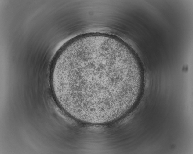 X0000112780830200909171334