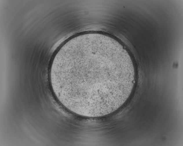 X0000112780834200909171334