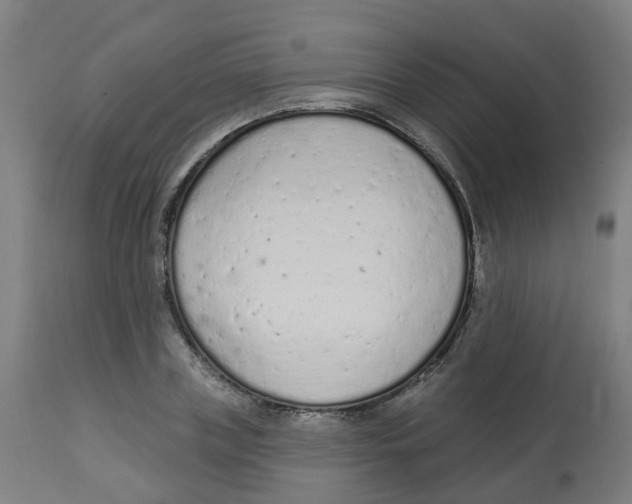 X0000112780835200909171334