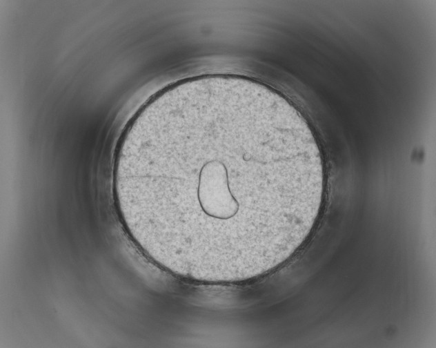 X0000112780836200909171334