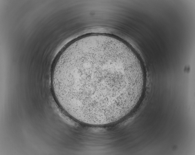 X0000112780837200909171334