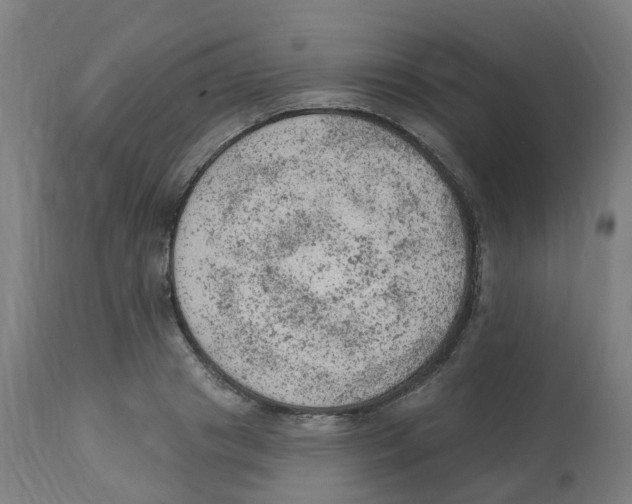 X0000112780841200909171334