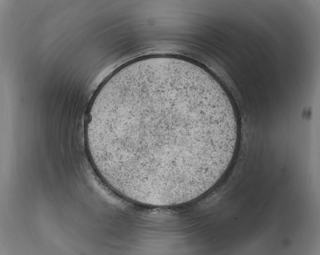 X0000112780842200909171334