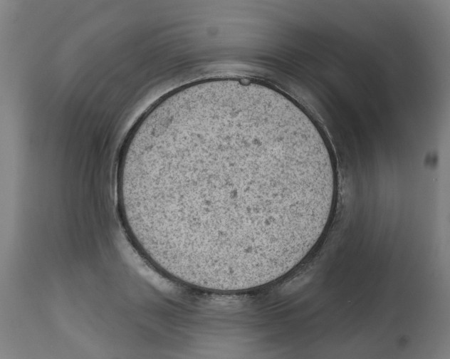 X0000112780843200909171334