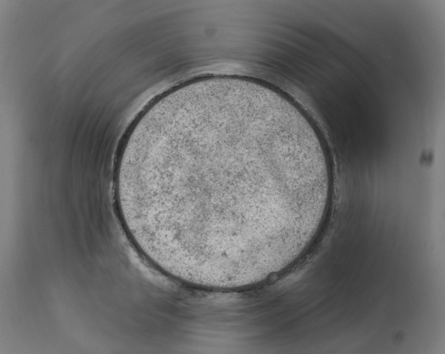 X0000112780845200909171334