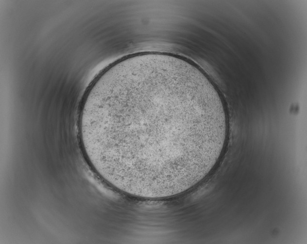 X0000112780846200909171334