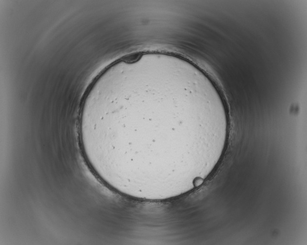 X0000112780847200909171334