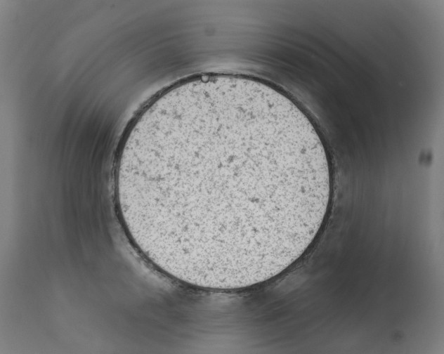 X0000112780848200909171334