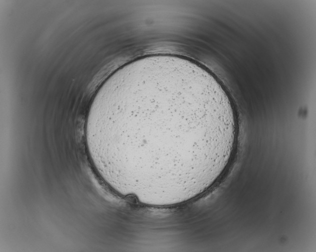 X0000112780849200909171334