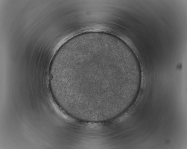 X0000112780850200909171334