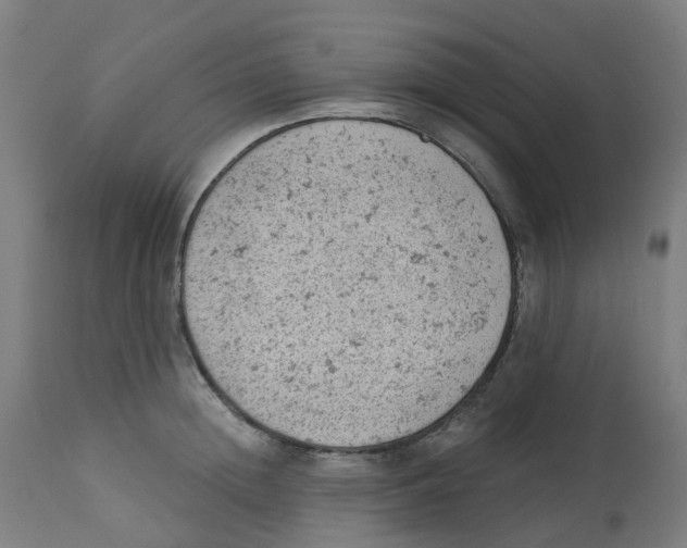 X0000112780852200909171334