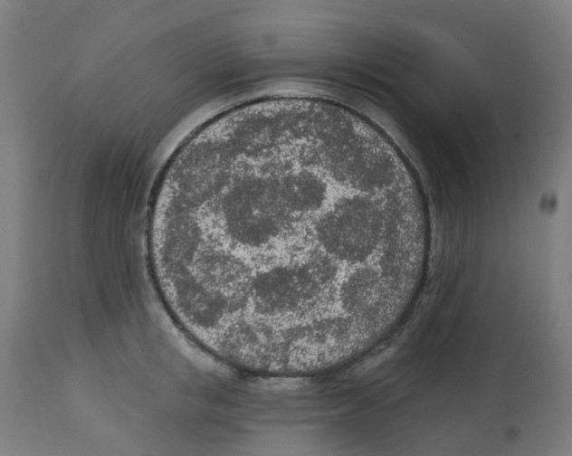 X0000112780853200909171334