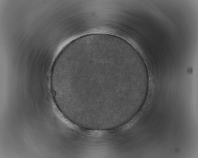 X0000112780854200909171334