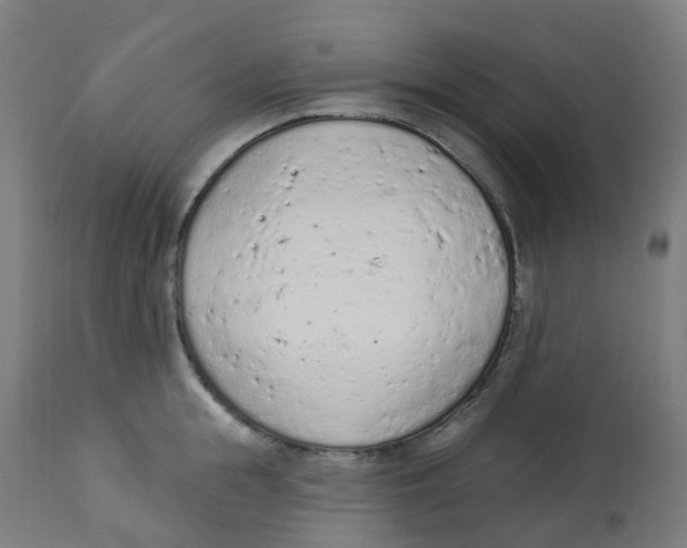 X0000112780855200909171334