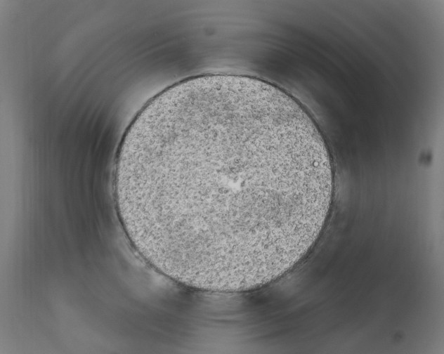 X0000112780856200909171334