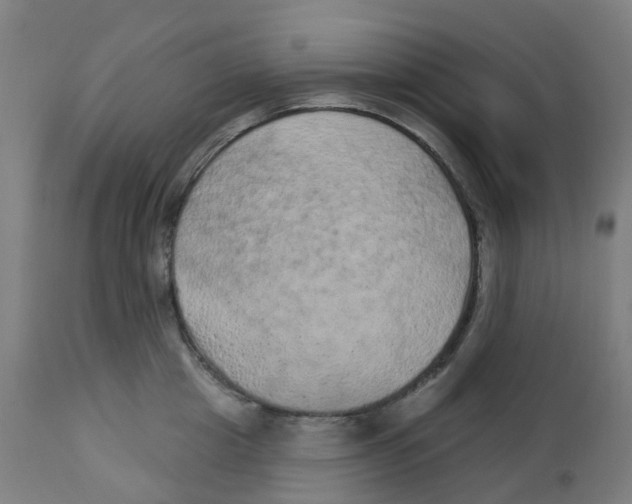 X0000112780857200909171334