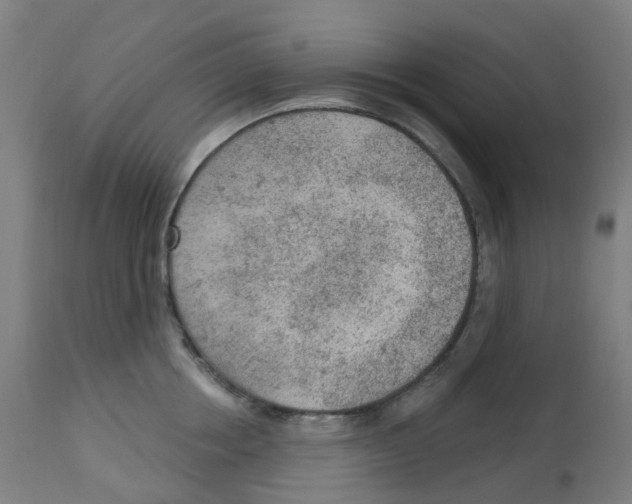 X0000112780858200909171334