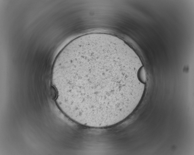 X0000112780860200909171334