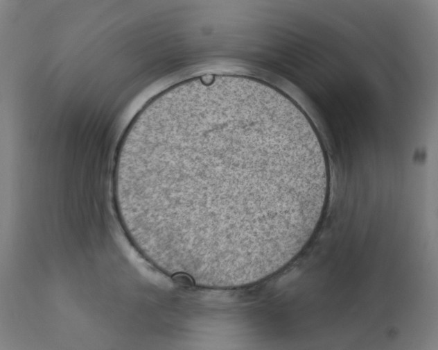 X0000112780861200909171334