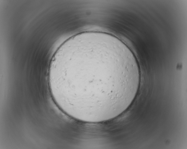 X0000112780863200909171335