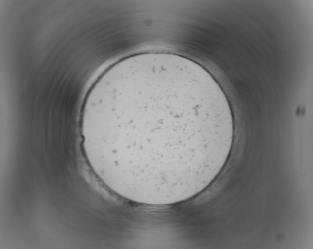 X0000112780864200909171335